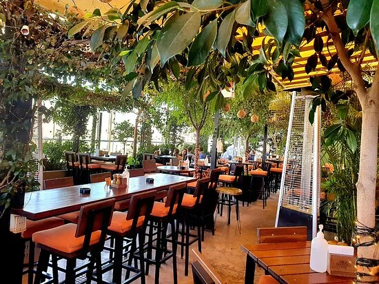 High Garden rooftop Amman